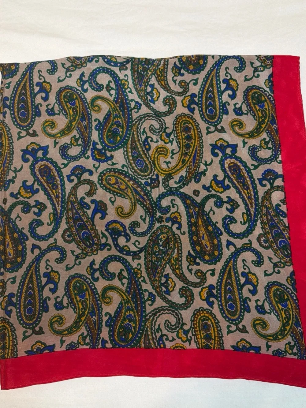 Paisley Silk-Feel Scarf with Red Border